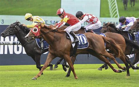 2024 Tulloch Stakes Odds .